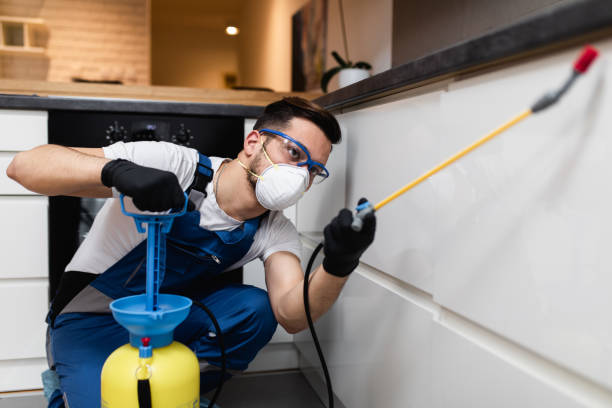 Best Best Pest Control Near Me  in Bridgeville, PA