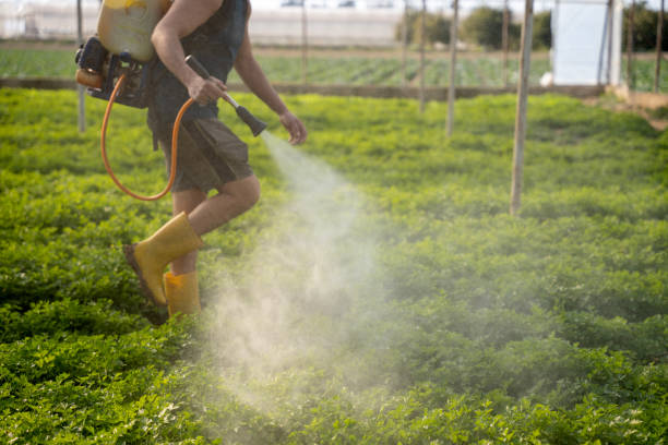 Best Mosquito Control Services  in Bridgeville, PA