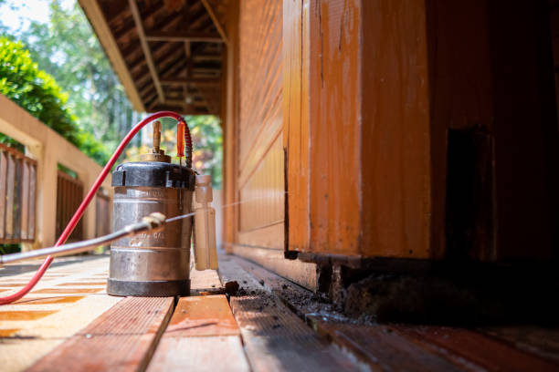 Best Cockroach Control Services  in Bridgeville, PA