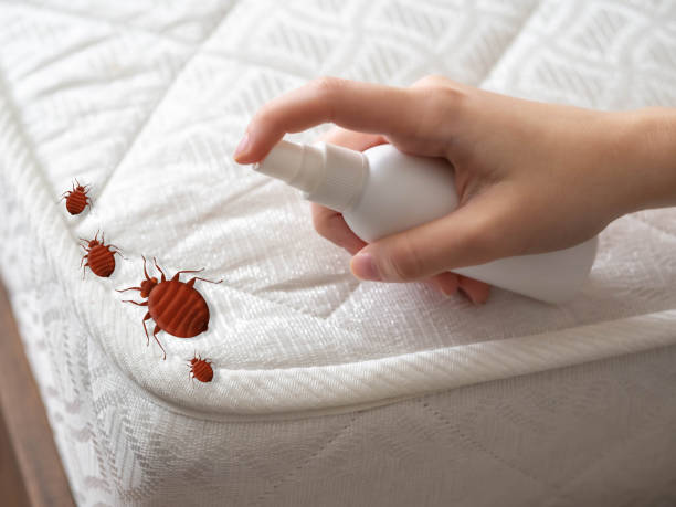 Trusted Bridgeville, PA Pest Control Experts